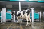 GEA DairyRobot R9500